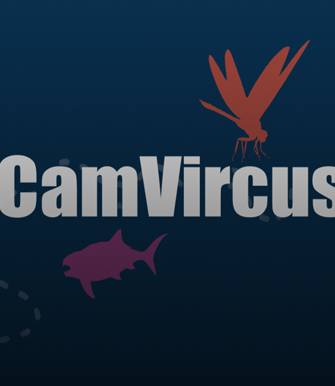 imagen de proyecto calculadora